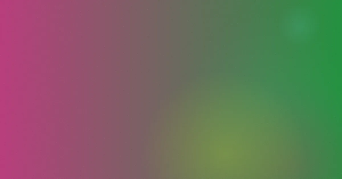 老湿视频攻略：怎么少踩坑